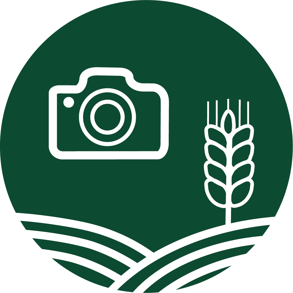 gtfoto logo